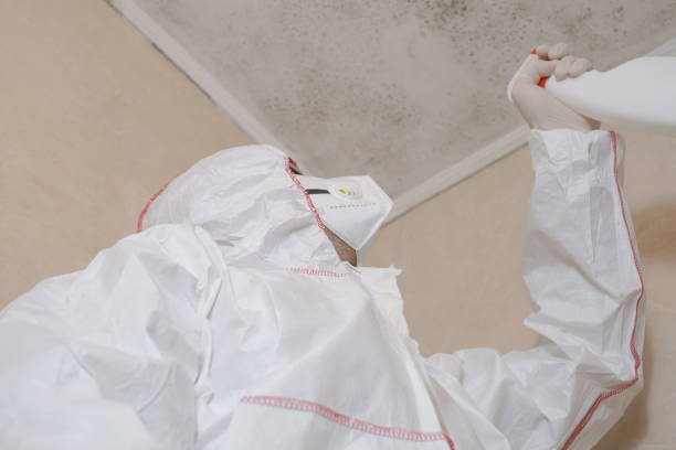 Best Certified Mold Removal  in Boronda, CA