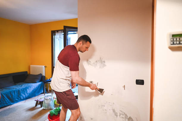 Best Affordable Mold Removal  in Boronda, CA